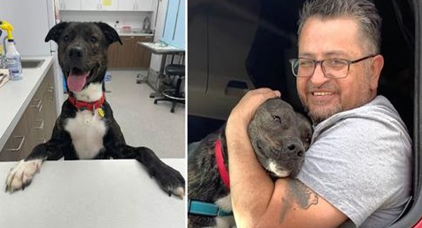 there's nothing better than the moment the dog rescued has found his adoptive family