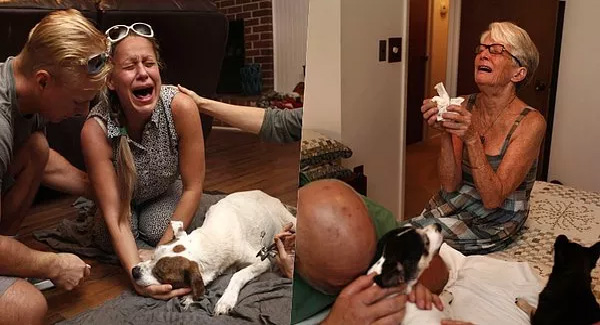 Emotional “Last Moments” Between Pets And Their Owners Make You Cry – Dogs Stories