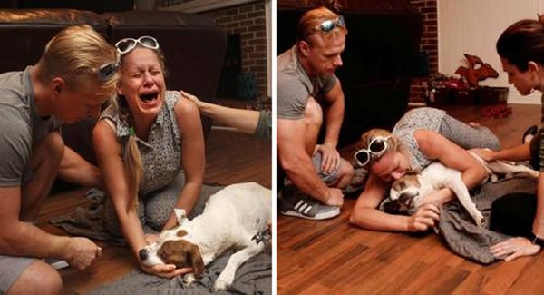 The dog was heartbroken and something was too difficult to manage with some pet owners being able to find the situation and the emotion so emotional that they couldn't be near their animal until the very last moment. 